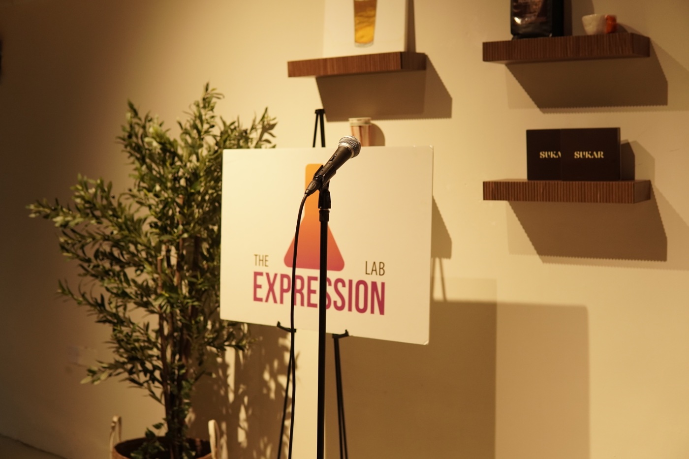 The Expression Lab mic and easel